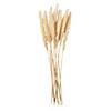 Cream-Colored Pampas Grass Reeds - 12 Pc. Image 1