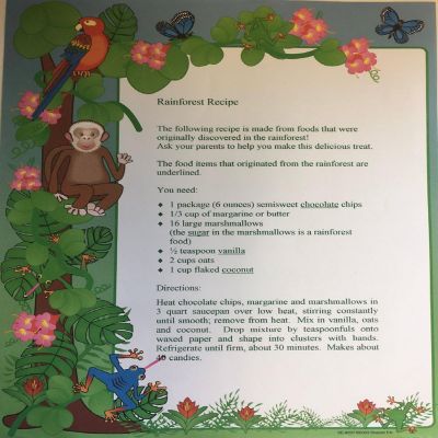 Creative Shapes Etc. - Designer Paper - Rainforest (50 Sheet Package) Image 1