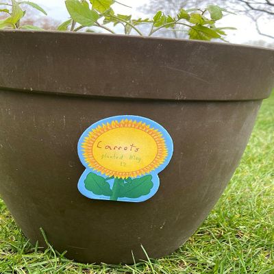 Creative Shapes Etc. - Mini Notepad - Sunflower Image 1