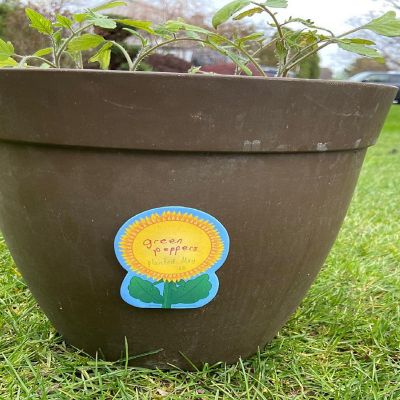 Creative Shapes Etc. - Mini Notepad - Sunflower Image 2