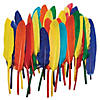 Creativity Street Duck Quills, Assorted Colors, 3" to 5", 14 grams Per Pack, 6 Packs Image 1