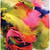 Creativity Street Turkey Plumage Feathers, Assorted Bright Hues, Assorted Sizes, 14 grams Per Pack, 12 Packs Image 2