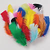 Creativity Street Turkey Plumage Feathers, Bright Hues Assorted, Assorted Sizes, 1 oz. Per Bag, 6 Bags Image 2