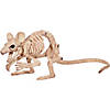 Creepy Crouching Mouse Image 1