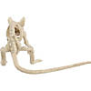 Creepy Crouching Mouse Image 1