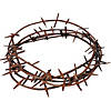 Crown of Thorns Image 1