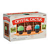 Crystal Cactus Kit Image 1