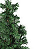 DAK 4' Pre-Lit Artificial Spiral Pine Christmas Tree - Multi Color Lights Image 1