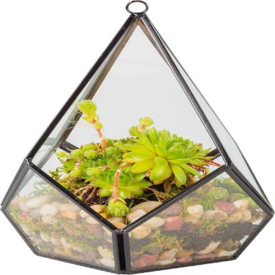 Deco Glass Geometric DIY Terrarium for Succulent & Air Plant - Hanging Teardrop Shape for Indoor Gardening Decor- Create Your own Flower, Fern, Moss Centerpiece Image 1