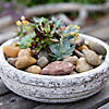 Decorative Stones - 2 lbs.  Image 1