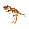 Dig It Up! Dino Model: T-Rex Image 3