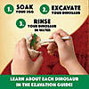 Dig It Up! Dinosaur Eggs with FREE Excavation Kit Image 3