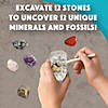 Dig It Up! Fossils & Minerals Image 3