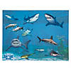 Discovery Shark Week&amp;#8482; Make-a-Shark Sticker Scenes &amp;#8211; 12 Pc. Image 1