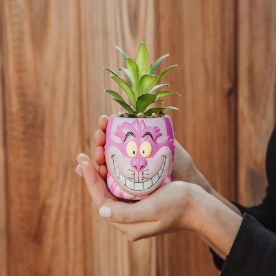 Disney Alice In Wonderland Cheshire Cat Mini Planter with Artificial Succulent Image 2