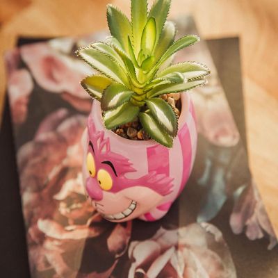 Disney Alice In Wonderland Cheshire Cat Mini Planter with Artificial Succulent Image 3