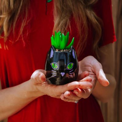 Disney Hocus Pocus "Binx Is My Boo" Ceramic Planter with Artificial Succulent Image 2
