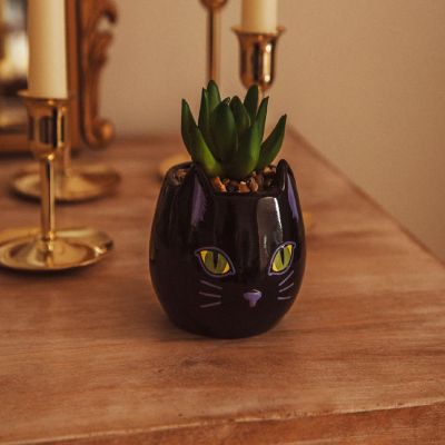 Disney Hocus Pocus "Binx Is My Boo" Ceramic Planter with Artificial Succulent Image 3