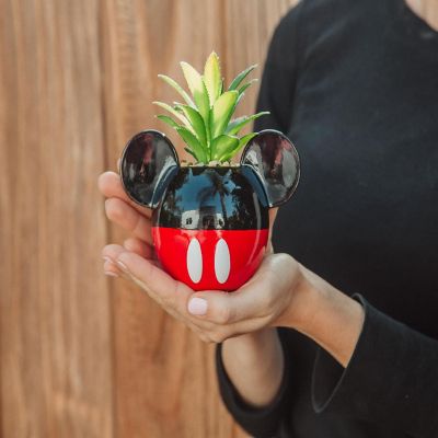 Disney Mickey Mouse 3-Inch Ceramic Mini Planter with Artificial Succulent Image 2