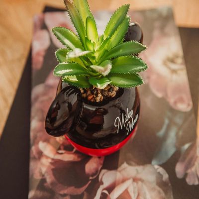 Disney Mickey Mouse 3-Inch Ceramic Mini Planter with Artificial Succulent Image 3