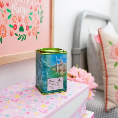 Disney Princess Home Collection 11-Ounce Scented Tea Tin Candle  Tiana Image 2