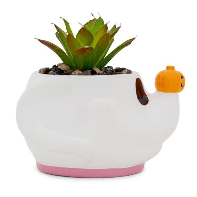Disney The Nightmare Before Christmas Zero Planter With Artificial Succulent Image 2