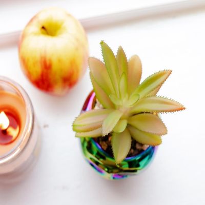 Disney Villains Poison Apple Mini Ceramic Planter with Artificial Succulent Image 3