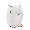 Distressed White Owl Figurine 4.62X4.75X6.5" Image 1
