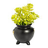 DIY Cauldron Ceramic Planters - 12 Pc. Image 1