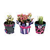 DIY Ceramic Flower Pots - 12 Pc. Image 3