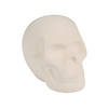 DIY Mini Ceramic Skull - 12 Pc. Image 1