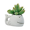 DIY Mini Ceramic Whale Planters - 12 Pc. Image 2