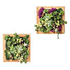 DIY Wood Succulent Frame Image 1