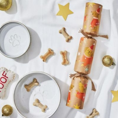 Dog DIY Christmas Party Cracker Flat Pack Kit - 1 pc Image 2