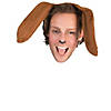 Dog Ears Headband Image 1