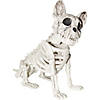 Dog Skeleton Image 1