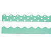 Double-Sided Solid & Polka Dot Bulletin Board Borders - Mint Green - 12 Pc. Image 1