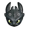 DreamWorks How To Train Your Dragon&#8482; Party Masks - 8 Pc. Image 2