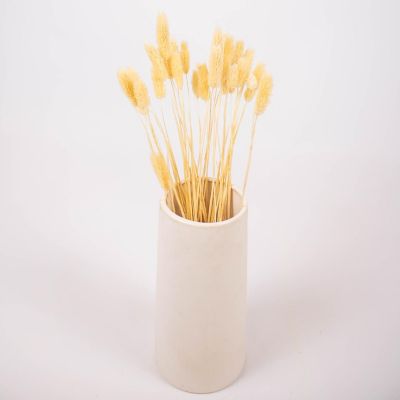 Dried Bleached Canary Grass Medium Pack Image 1