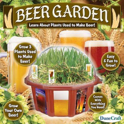 Dunecraft Beer Garden Domed Terrarium Image 1