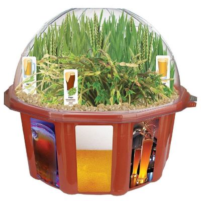 Dunecraft Beer Garden Domed Terrarium Image 1