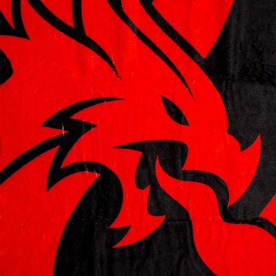 Dungeons & Dragons Logo Fleece Throw Blanket  45 x 60 Inches Image 1