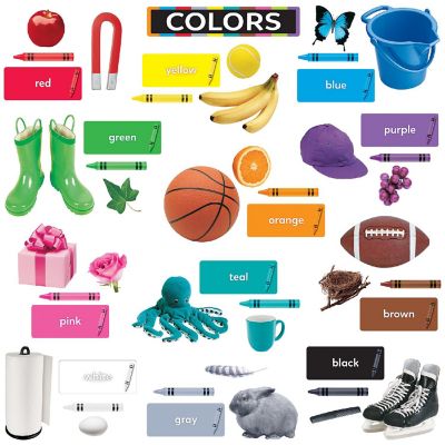 DUP Colors All Around Us Learning Set Image 1