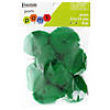 EBL Pom Pom 2" Green 8pc- 6PK Image 1