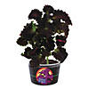 Eco Plant Pals Image 3