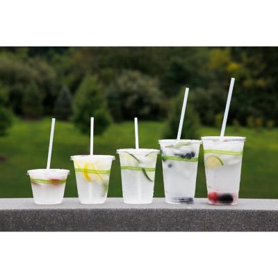 Edge Collections  - 12" - Clear - PLA Compostable Cups! Image 2