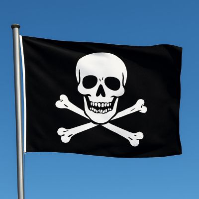 Edge Collections - 12" x 18" - Black - Pirate Flag Image 1