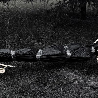 Edge Collections - 3' - Natural - Poseable Skeletons! Image 1