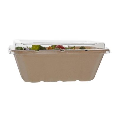 Edge Collections  - 32" - Multicolor - Food Containers! Image 2