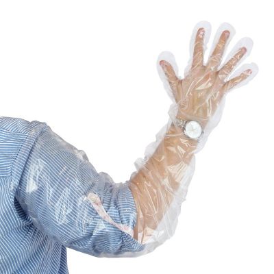 Edge Collections  - 35" - Clear - Shoulder Length Poly Gloves! Image 1